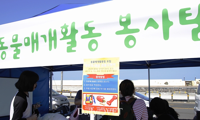 2014제주반려데일리벳 슬롯 사이트한마당12