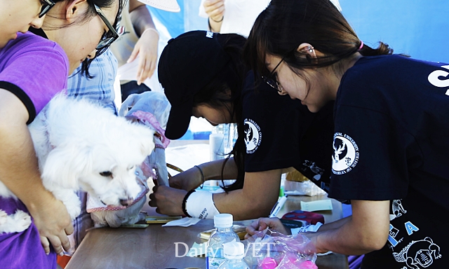 2014제주반려데일리벳 슬롯 사이트한마당2