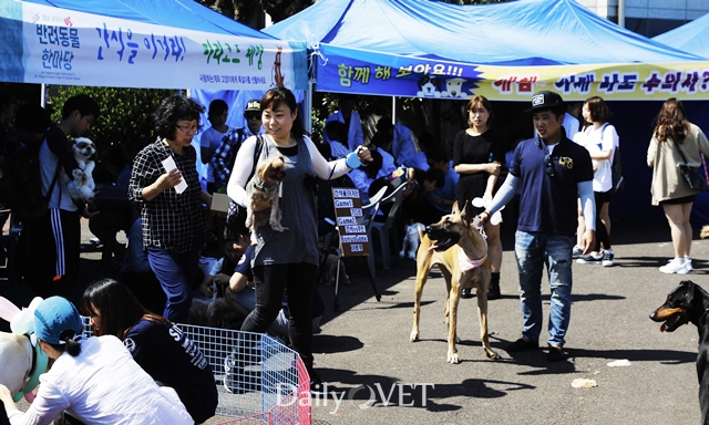 2014제주반려데일리벳 슬롯 사이트한마당5