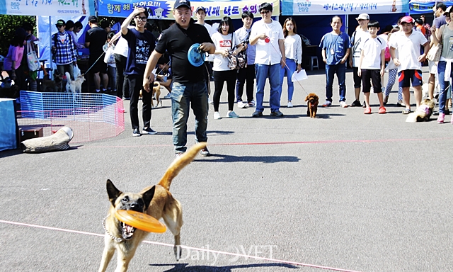 2014제주반려데일리벳 슬롯 사이트한마당6