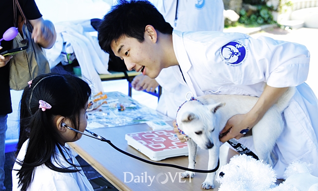 2014제주반려데일리벳 슬롯 사이트한마당7