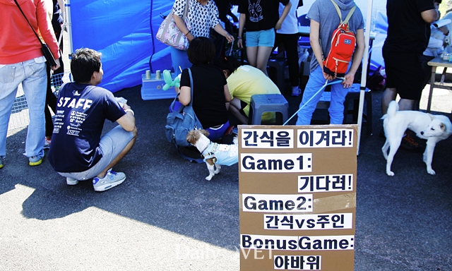 2014제주반려데일리벳 슬롯 사이트한마당8