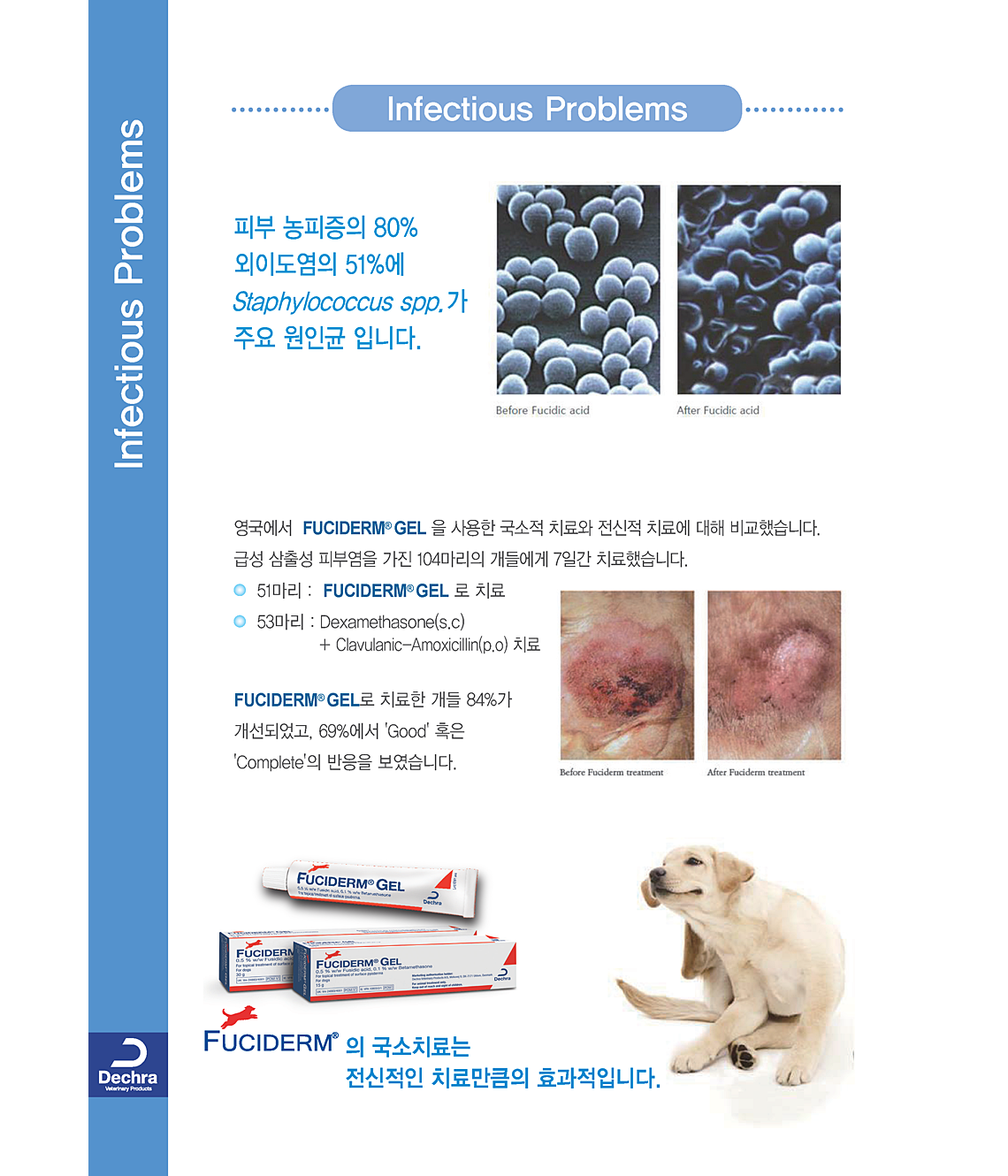 데크라-더마펫-브로셔-page18