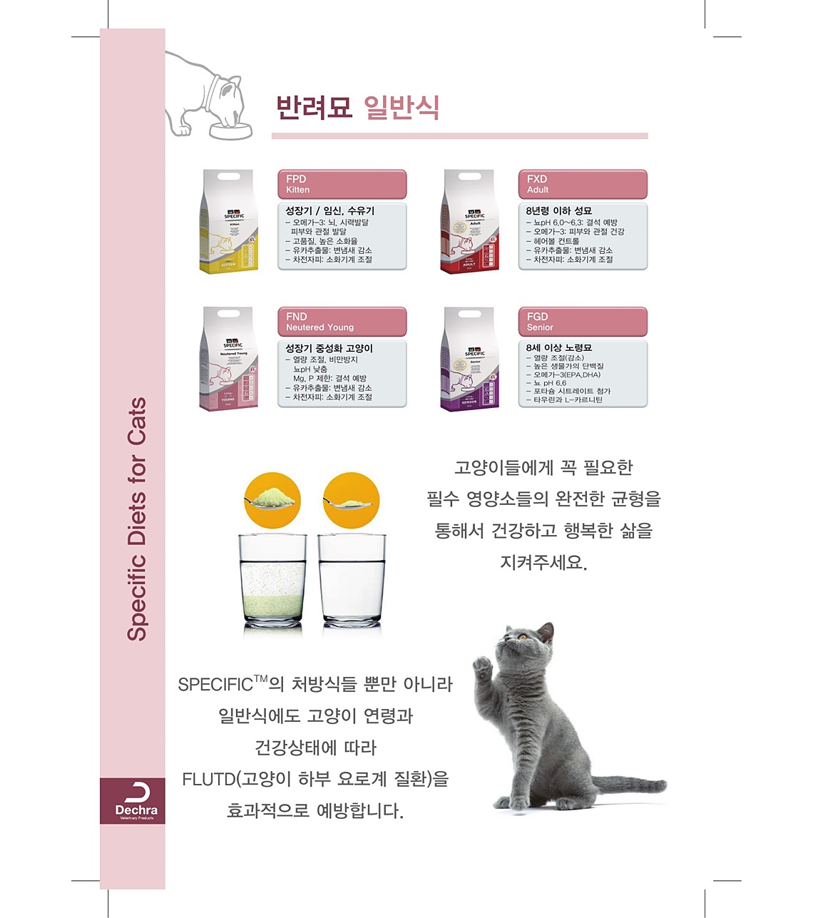 벳코비에이비씨_SPECIFIC8