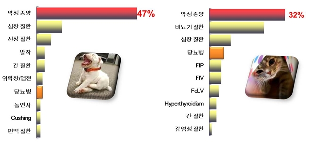 개와 고양이의 사망원인 TOP 10