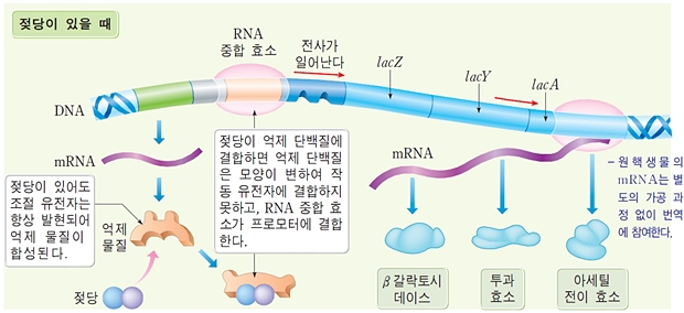 데일리벳 사이트4