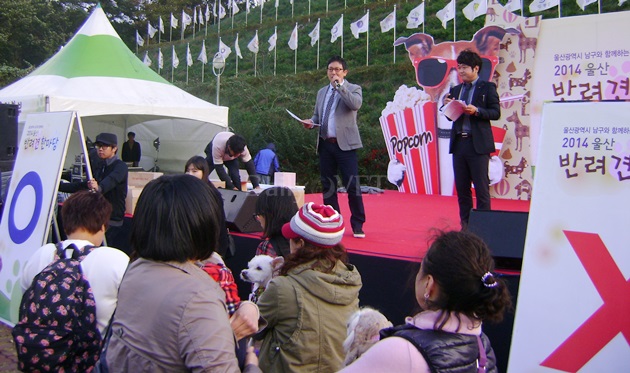 141102 울산반려견한마당