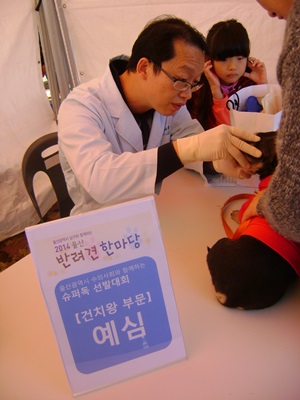 141102 울산반려견한마당3