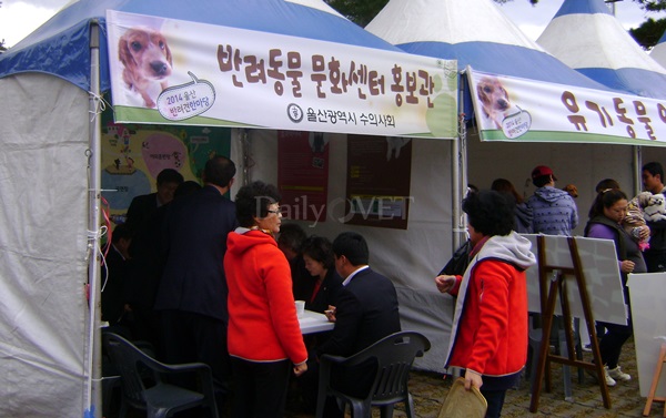 141102 울산반려견한마당4