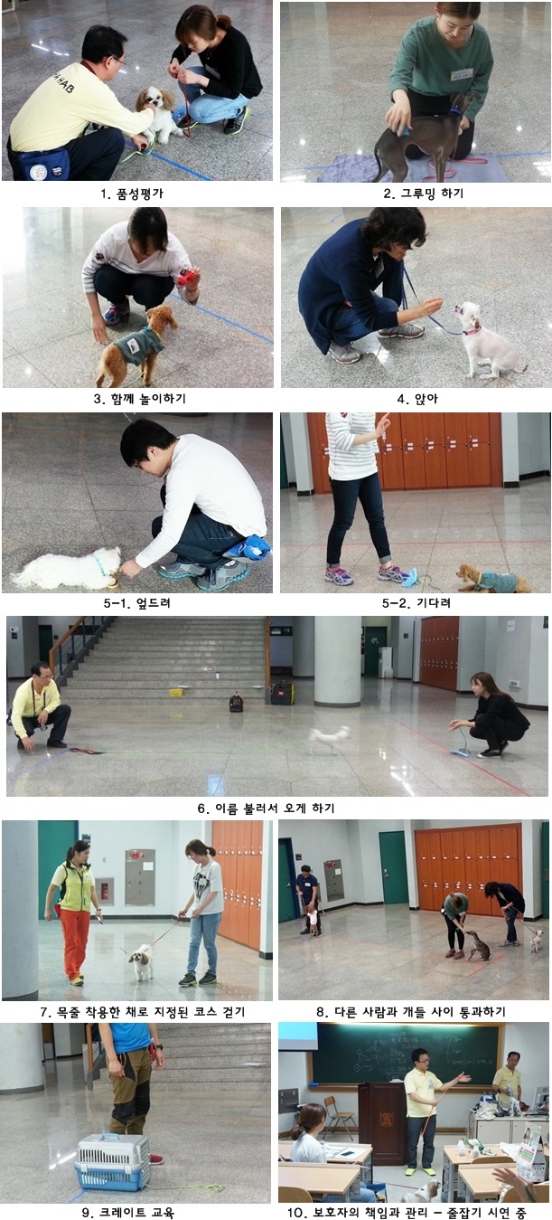 141120 데일리벳 추천