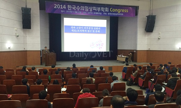 141123 임상피부학회