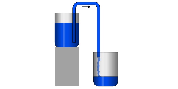 141126 김성수 데일리벳 도박