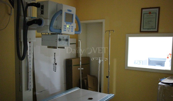 141203 상하이 인터뷰11