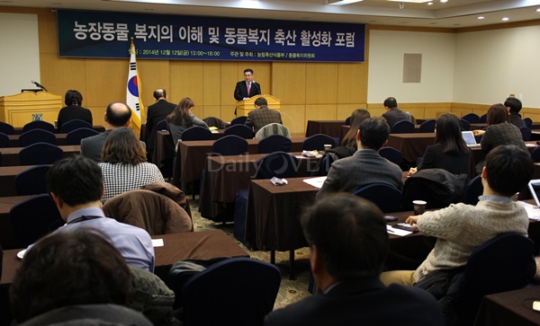 141212 데일리벳 도박축산포럼