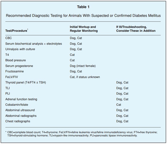 141212 aaha 데일리벳 바카라 사이트
