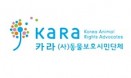 [논평] 아픈 동물 도울 길 없는 시스템 부재 속에서 고양이 생매장 사건 일어나