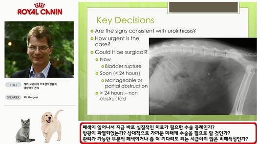 150918 royalwebinar1