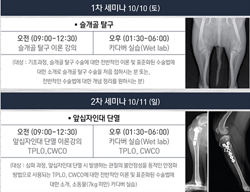 bscorem_kim stanley1