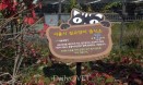 서울시，서울숲 등 공원 4곳에 길고양이 급식소 27개 설치
