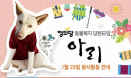 정의당 동물복지 모임 `아리`，카라봉사대와 유기동물보호소 봉사 나선다