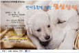 반려동물 임신 상식，3월 26일 서울대 문화교실에서 확인하세요