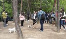 서울 보라매 반려견놀이터, 주말마다 유기동물 입양 행사 열어