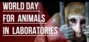 4월 24일은 세계 실험동물의 날…실험동물 위한 다양한 행사 열려