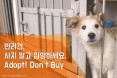 [카드뉴스] 강아지공장 문제에 대처하는 우리의 자세