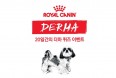 [공지] 로얄캐닌 더마 퀴즈 이벤트 당첨자 명단