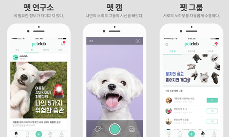 petxlab_app