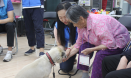 강동구립 해공데이케어센터，노인 대상 동물매개서비스 진행