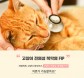 [카드뉴스] 고양이 전염성 복막염 FIP―마더캣×데일리벳