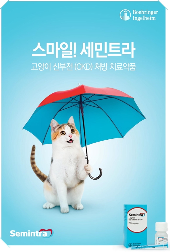 semintra_banner_page201608 – 데일리벳