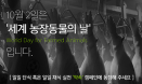 10월 2일은 세계 농장동물의 날，하루만이라도 채식 어때요？