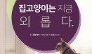 [카드뉴스] 집고양이는 지금 외롭다―데일리벳×팔팔포스트