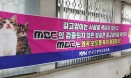 [기고] 길고양이 관련 MBC의 정정 보도를 요구합니다―김재영 KSFM 회장