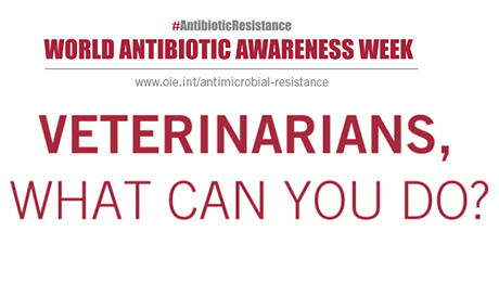 2016antibiotic awareness week1