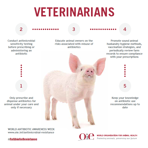 2016antibiotic awareness week2