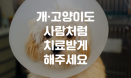 [데일리벳 카드뉴스] 개·고양이도 사람처럼 치료받게 해주세요