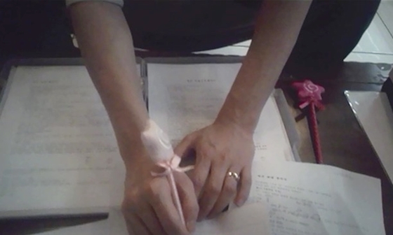 svma_petshophospital1