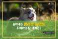 [카드뉴스] 늘어나는 반려견 놀이터，뒤따라야 할 대책은？
