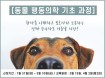 1년차 임상수의사 대상 동물 행동의학 기초과정 개설