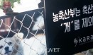 엽기적인 반려견 인공수정 학대사건 터져도…축산법 상 가축에 `개` 있어서…