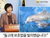 이정미 의원，돌고래 등 해양포유류 전면 수입금지 `돌고래 보호법` 발의