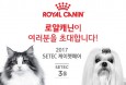 로얄캐닌, SETEC 케이펫페어 최대규모 참여 `영앙맞춤 사료 체험`