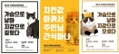 제1회 국제캣산업박람회，4월 21∼23일 코엑스에서 개최