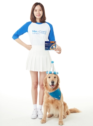 nexgard spectra_choyoonhee