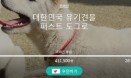 `유기견을 청와대로 보내자` 다음 스토리펀딩 `유기견 퍼스트 도그` 화제