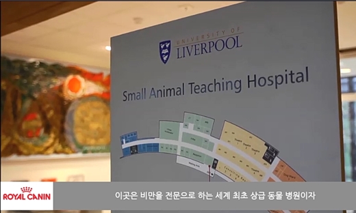 royalcanin obesity clinic1