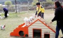 국내 최대 규모 반려견 놀이터，용인 기흥 호수공원에 들어섰다